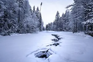 Frozen river with cracks between snowy trees in a quiet winter forest