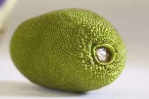 Fruit, Jackfruit Kathal phanus, India