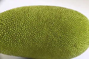 Fruit, Jackfruit Kathal phanus, India