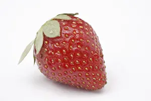 Category Historic EN Prints: Fruit, Strawberry Fragaria Ananassa on white background