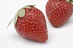 Category Historic EN Prints: Fruit, Strawberry Fragaria Ananassa on white background