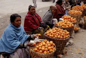 Fruit vendors on street at Jaigaon