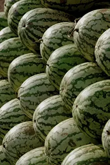 Fruit, Watermelons in line and in pile for sale