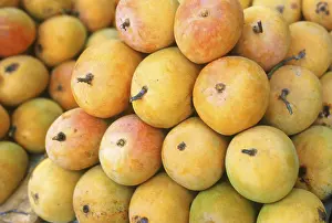 Fruits, alphonso, mangoes