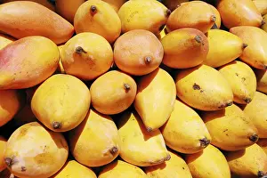 Fruits, langda aam (mango), India