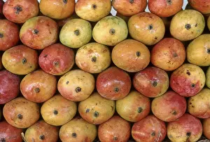 Fruits, ripe mangoes