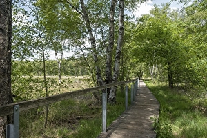 Fuerstenkuhle nature conservation and FFH area