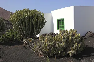Fundacion Cesar Manrique, Cesar Manrique Foundation
