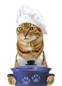 Funny cat - a cook with a pan in his paws on a white background