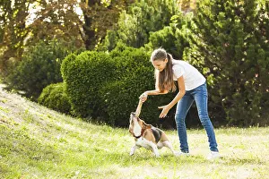 Funny girl throwing stick for active beagle dog in the park