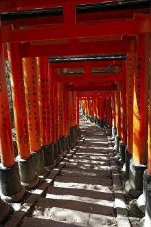 Fushimi Inari Taisha, Shinto Shrine