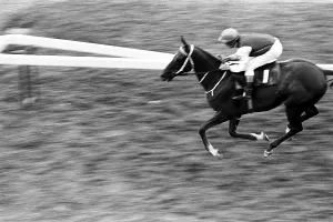 Galloping horse in race course Hong Kong 1971