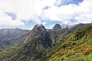 Garajonay Mountain, National Park, La Gomera