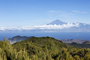 Category Mountain Landscapes Prints: Garajonay National Park, view from Garajonay mountain