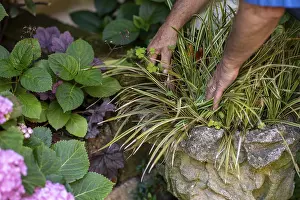 Garden care tips for beginners enhancing your home with simple landscaping ideas to create a beautiful garden with some