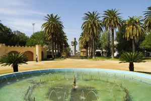 Garden with fountain and palm trees