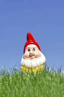 Garden gnome