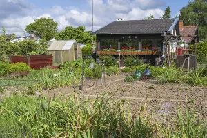Garden shed with flower boxes in allotment garden