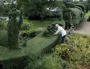 Gardener cuts a gondola and a train from a hedge