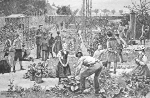 Gardening, School, Children in the community school garden in Friedenau near Berlin