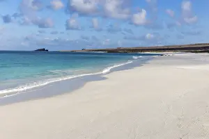 Category Historic EN Prints: Gardner Bay beach, Isla Espanola