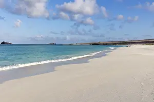 Category Historic EN Prints: Gardner Bay beach, Isla Espanola