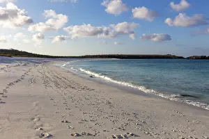 Category Historic EN Prints: Gardner Bay beach, Isla Espanola