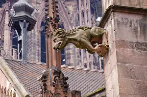 Gargoyles on the buttress of the Freiburg Cathedral