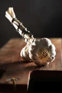 Garlic bulbs on wooden board, dark background
