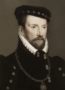 Gaspard II de Coligny, Comte de Coligny