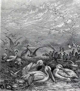 Gathering of various migratory birds in an African wetland