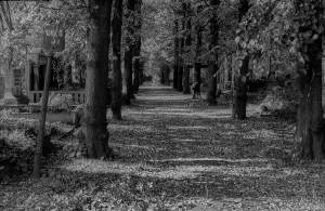 GDR, Berlin, 04.10.1987, Jewish cemetery Weissensee