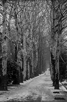 GDR, Berlin, 09.02.1987, Jewish cemetery Weissensee