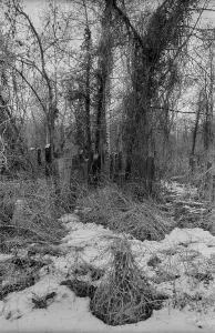 GDR, Berlin, 09.02.1987, Jewish cemetery Weissensee