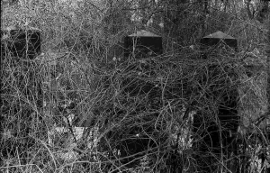 GDR, Berlin, 09.02.1987, Jewish cemetery Weissensee