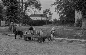 GDR, Berlin, 1.9.1989, car with ponies