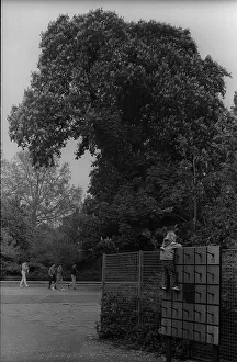 GDR, Berlin, 21. 05. 1987, climbing wall in Monbijoupark