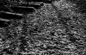 GDR, Berlin, 25.10.1987, Jewish cemetery Weissensee