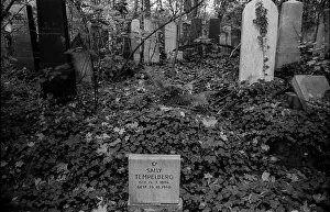 GDR, Berlin, 25.10.1987, Jewish cemetery Weissensee