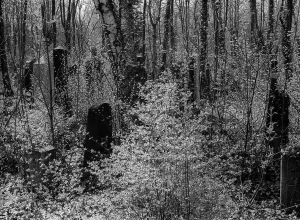 GDR, Berlin, 27.04.1987, Jewish cemetery Weissensee