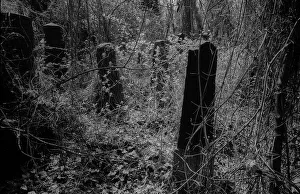 GDR, Berlin, 27.04.1987, Jewish cemetery Weissensee
