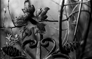 GDR, Berlin, 27.04.1987, Jewish cemetery Weissensee