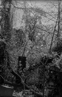 GDR, Berlin, 27.04.1987, Jewish cemetery Weissensee
