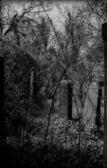 GDR, Berlin, 27.04.1987, Jewish cemetery Weissensee