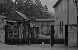GDR, Feldberg, 15.09.1989, street scene in Feldberg