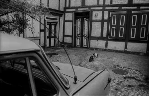GDR, Halberstadt, 27.05.1988, half-timbered houses Trabant and cats