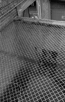 GDR, Potsdam, 13.05.1990, Linden Hotel