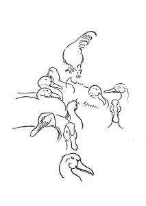 Geese, illustration in The House in the Sun by Carl Larsson