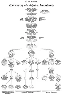 Genealogical family tree of the Carolingian dynasty