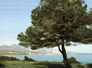 General view, Cap Martin, Menton on the Riviera